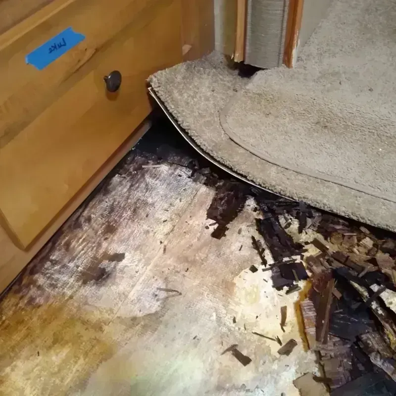 Best Wood Floor Water Damage Service in Greensburg, OH